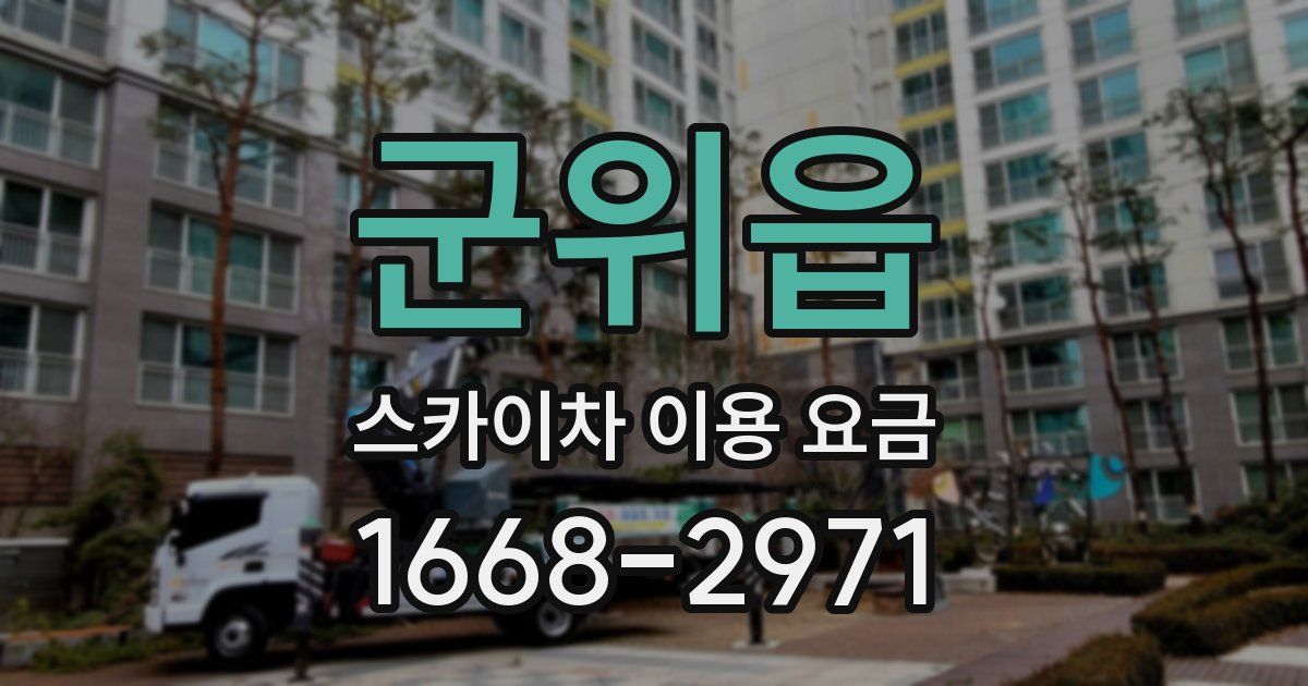 군위읍 스카이차 이용 요금