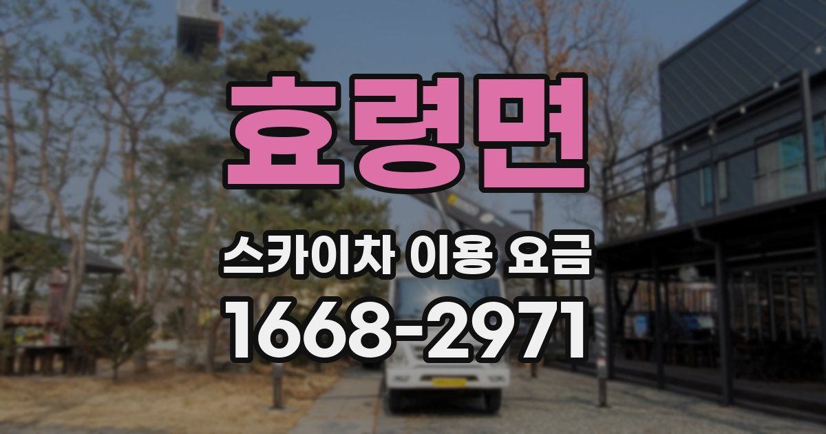효령면 스카이차 이용 요금