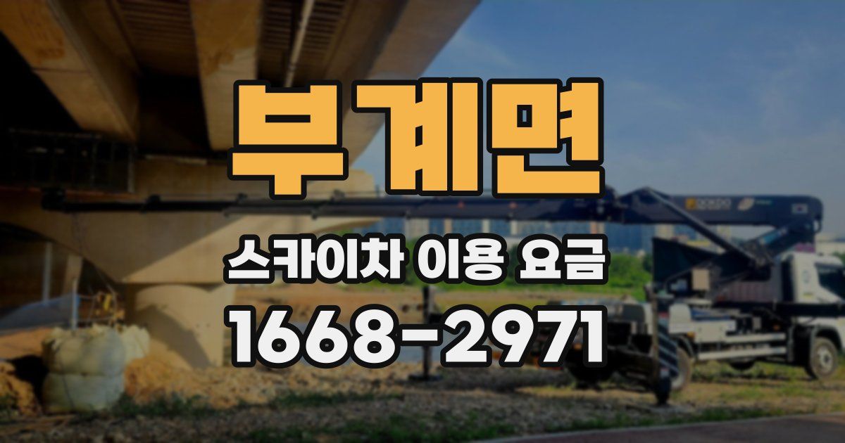 부계면 스카이차 이용 요금