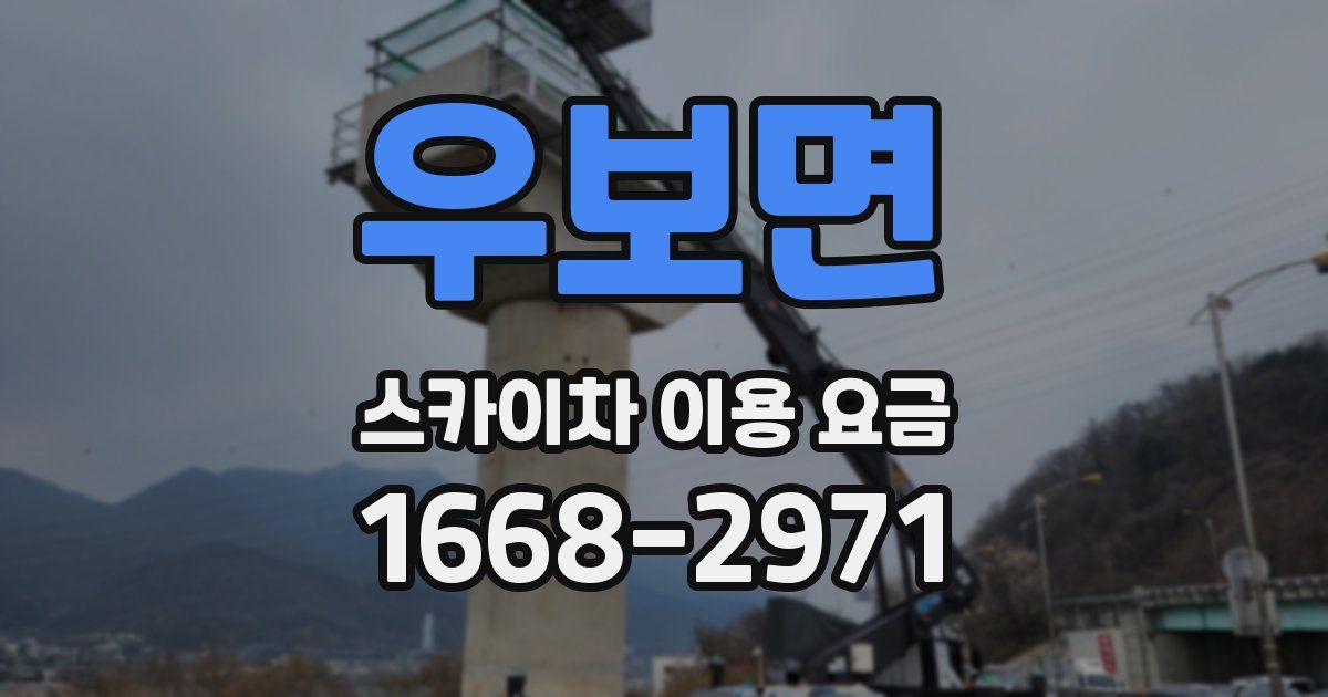 우보면 스카이차 이용 요금