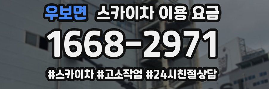 우보면 스카이차 이용 요금
