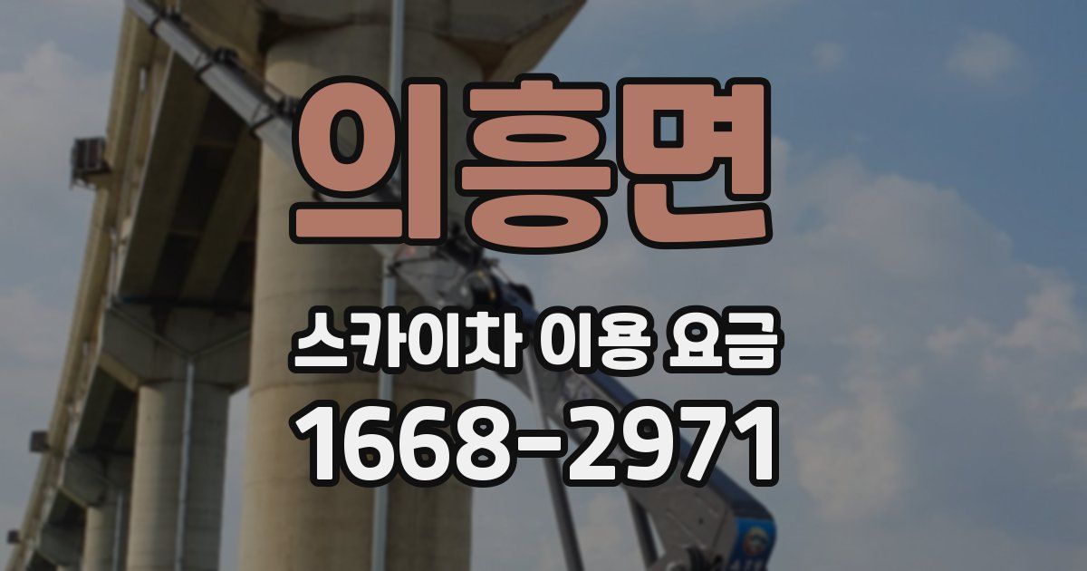 의흥면 스카이차 이용 요금