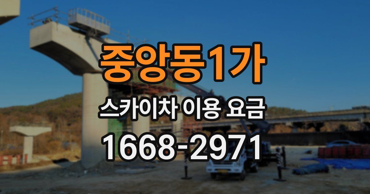 중앙동1가 스카이차 이용 요금