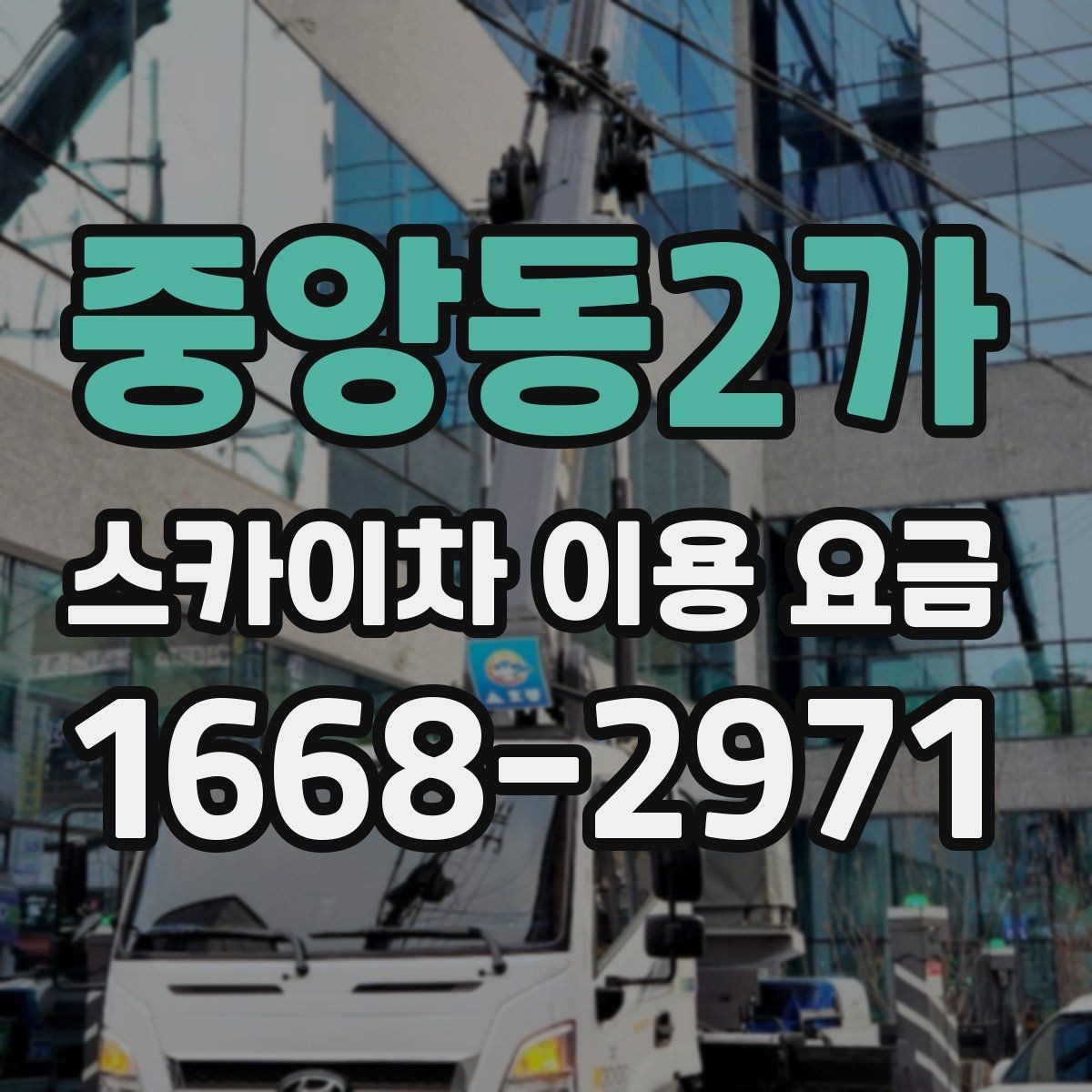 중앙동2가 스카이차 이용 요금 알아볼 때 업체마다 다른 점