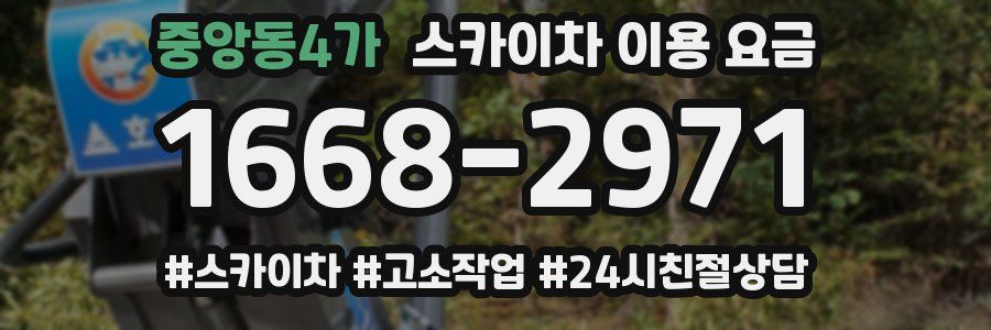 중앙동4가 스카이차 이용 요금
