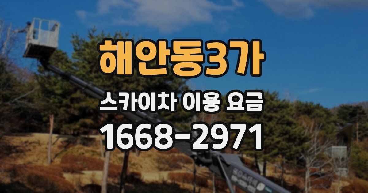 해안동3가 스카이차 이용 요금