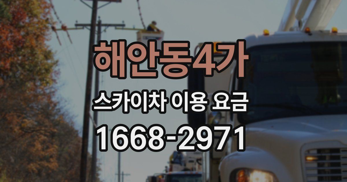 해안동4가 스카이차 이용 요금