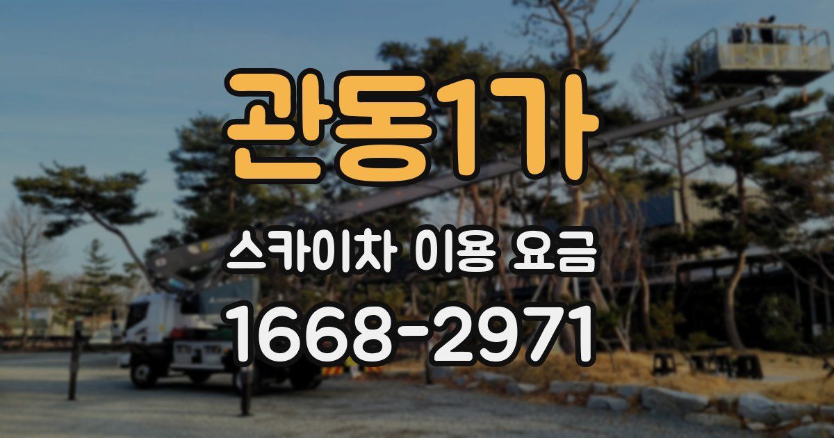 관동1가 스카이차 이용 요금
