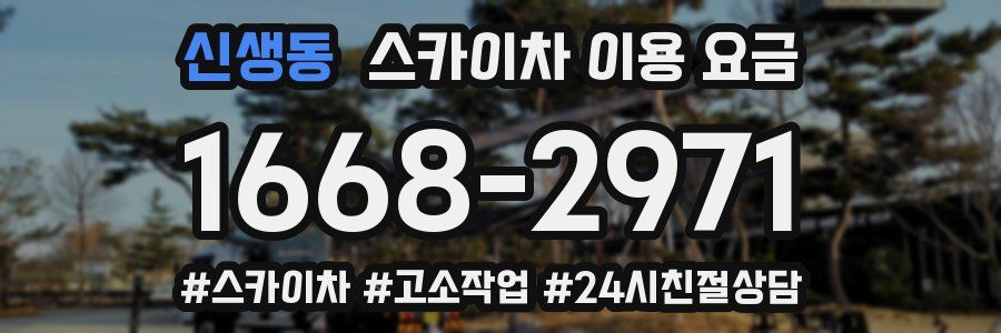 신생동 스카이차 이용 요금
