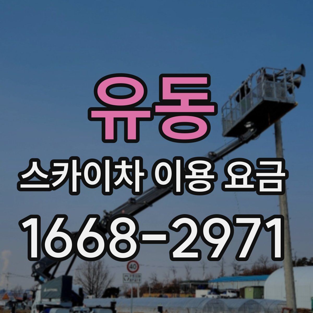 유동 스카이차 이용 요금 알아볼 때 업체 선정 포인트