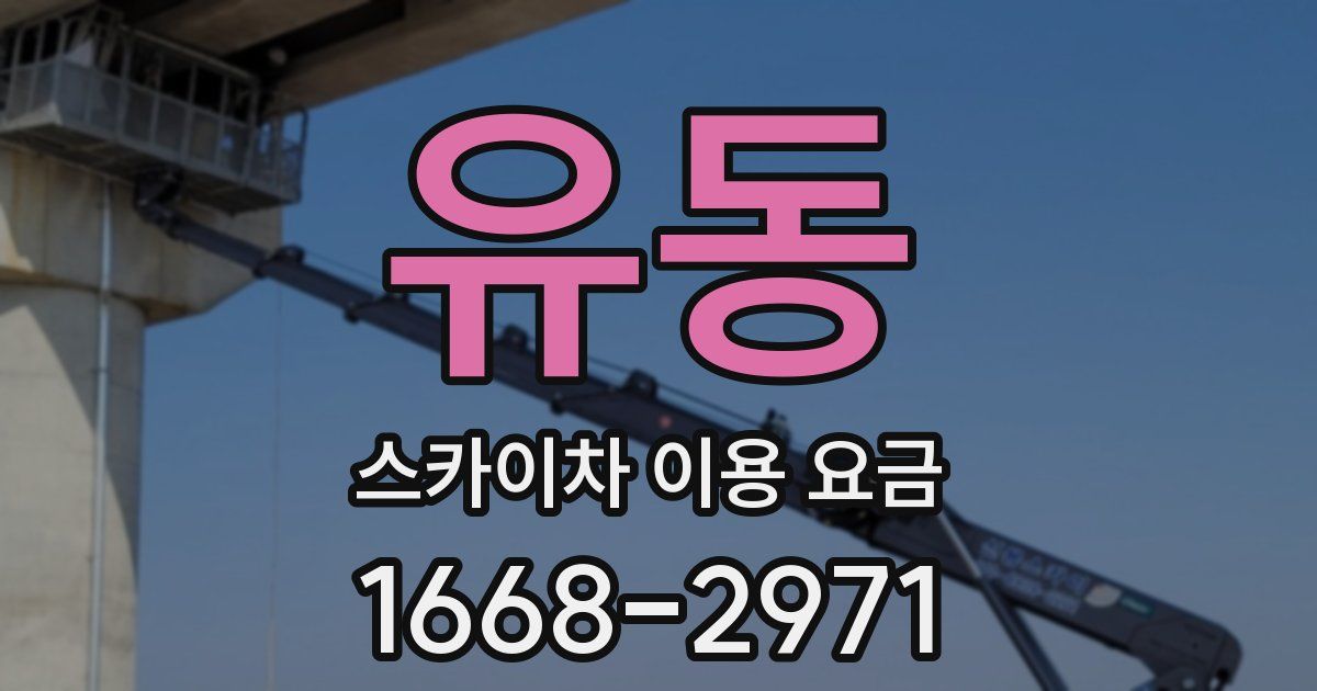 유동 스카이차 이용 요금