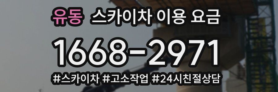 유동 스카이차 이용 요금