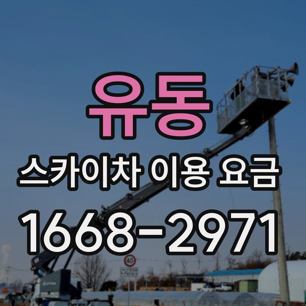 유동 스카이차 이용 요금