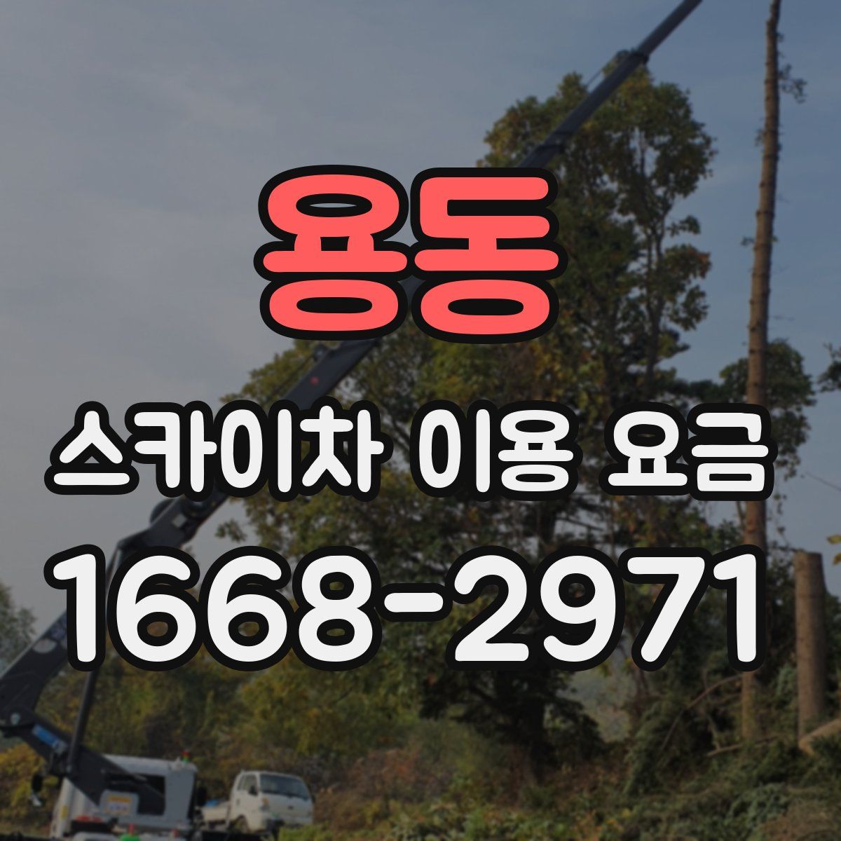 용동 스카이차 이용 요금