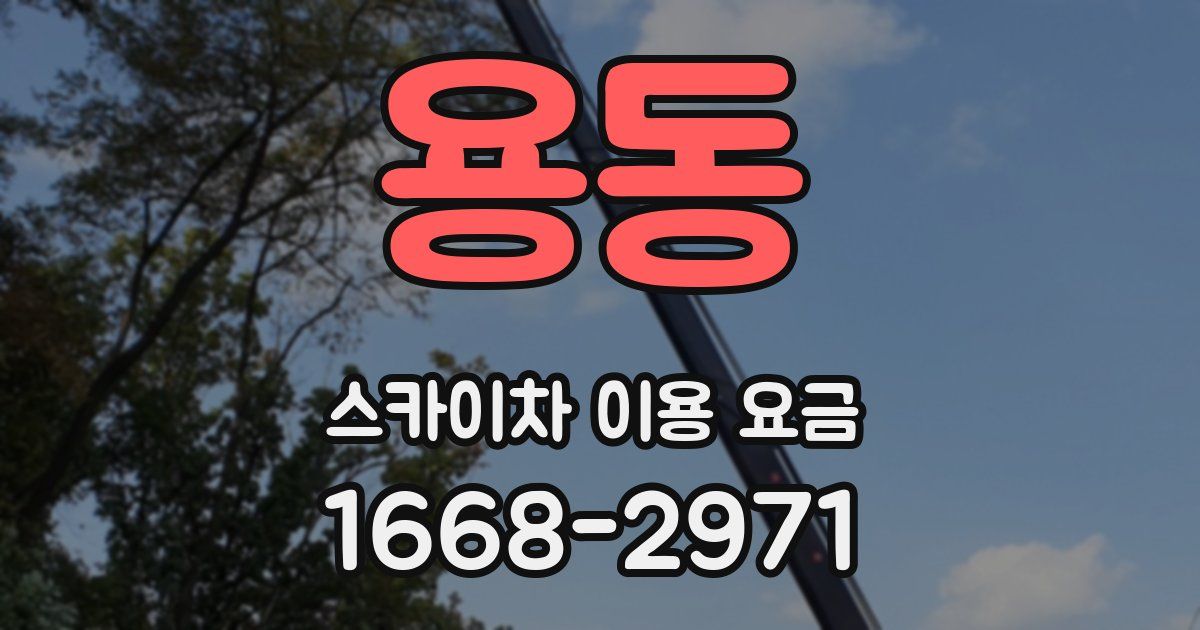 용동 스카이차 이용 요금