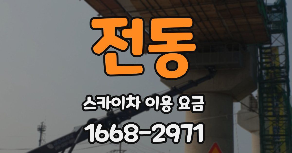 전동 스카이차 이용 요금