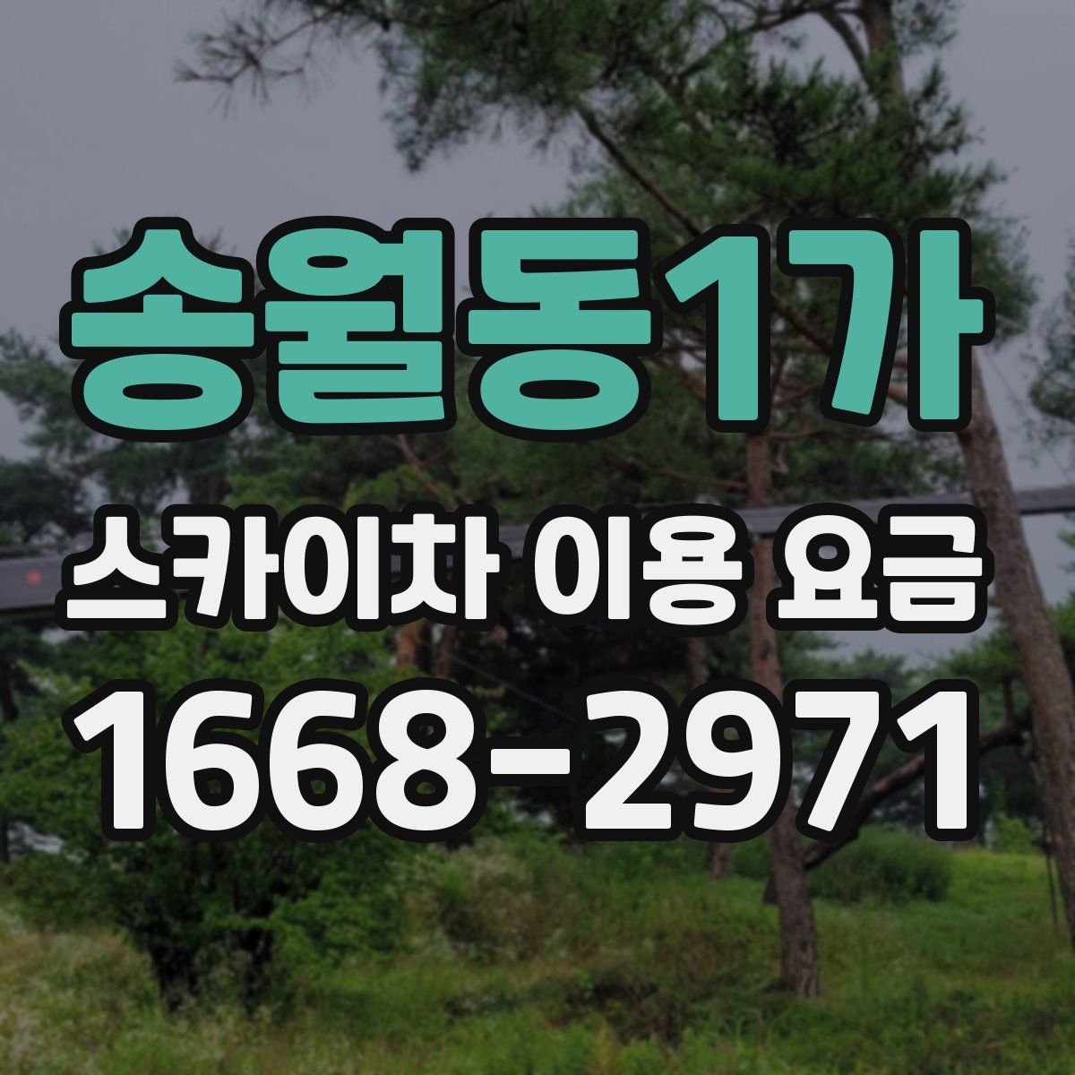 송월동1가 스카이차 이용 요금
