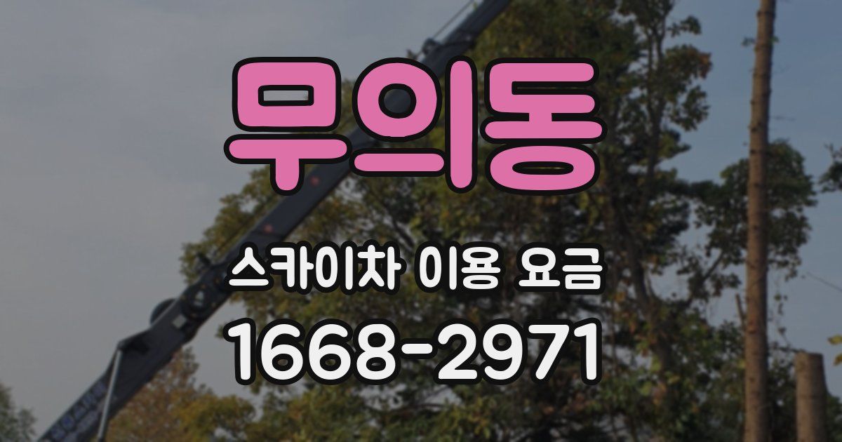 무의동 스카이차 이용 요금