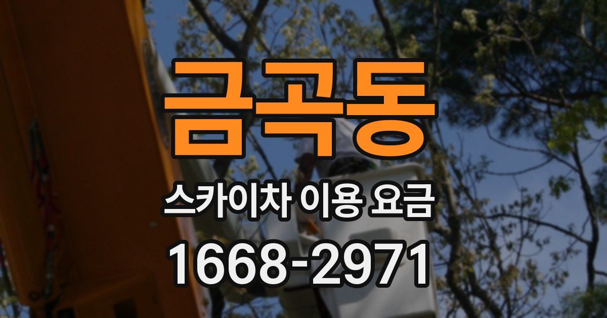 금곡동 스카이차 이용 요금