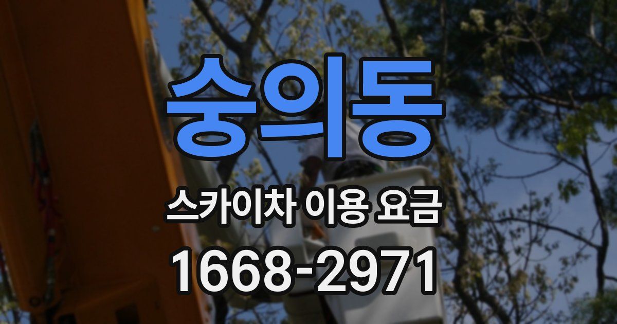 숭의동 스카이차 이용 요금