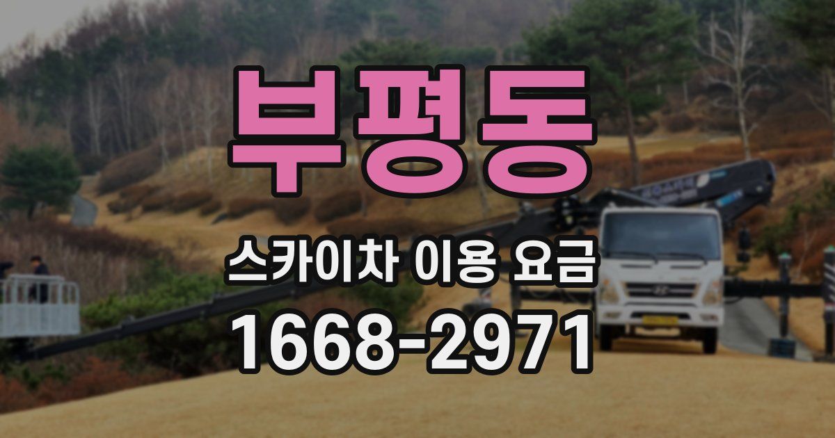 부평동 스카이차 이용 요금