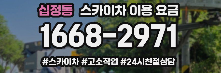 십정동 스카이차 이용 요금