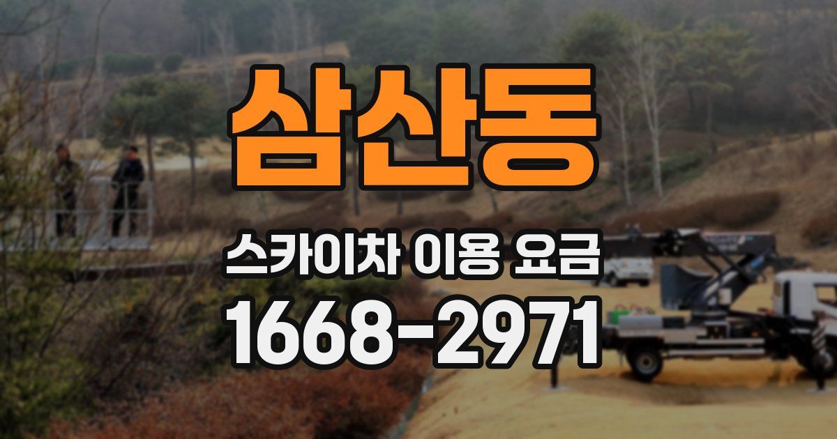 삼산동 스카이차 이용 요금