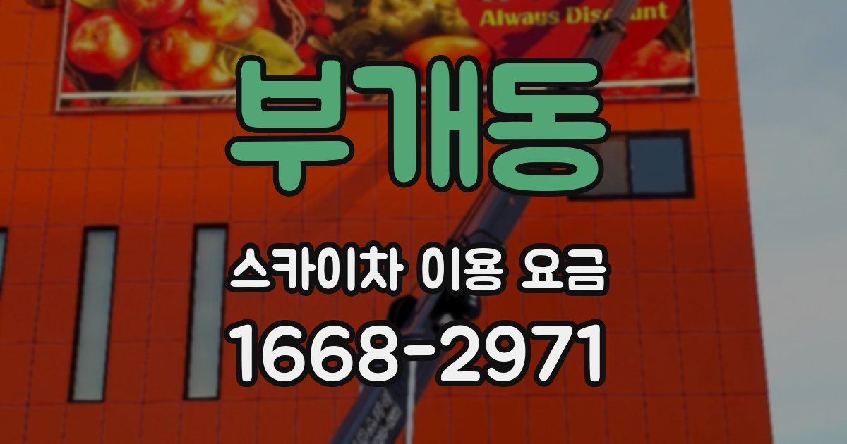 부개동 스카이차 이용 요금