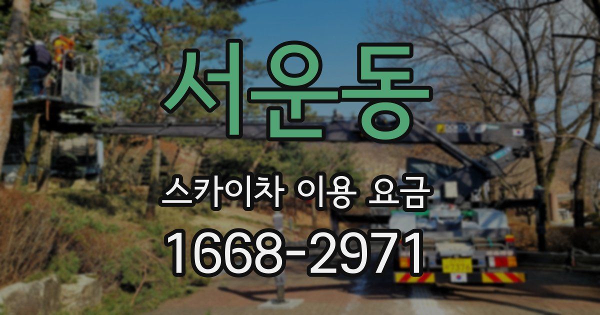 서운동 스카이차 이용 요금