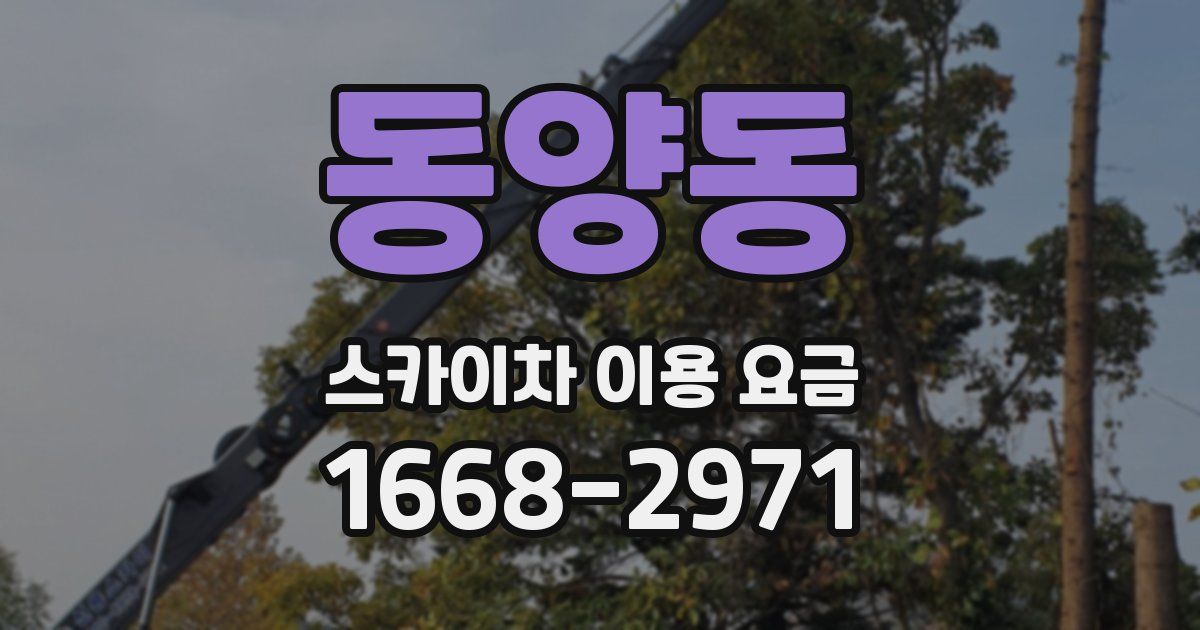 동양동 스카이차 이용 요금