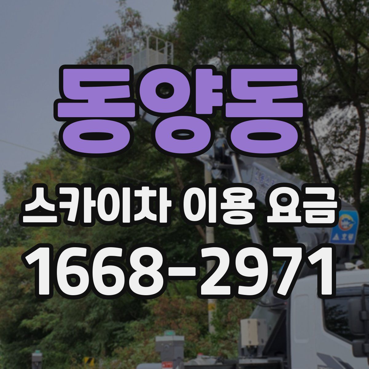 동양동 스카이차 이용 요금