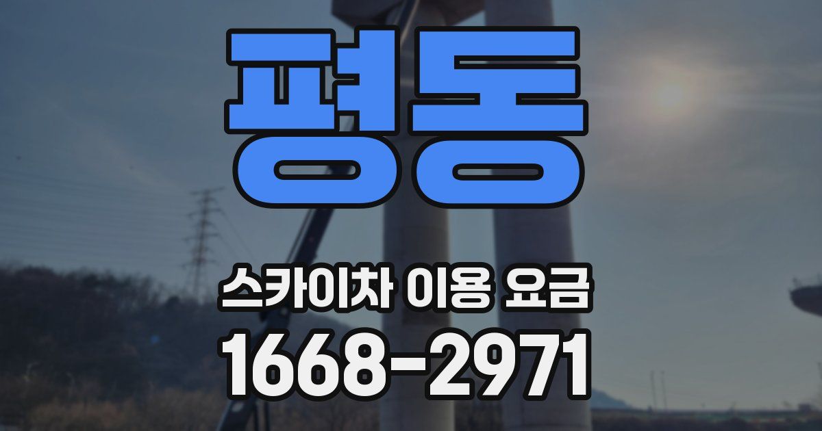 평동 스카이차 이용 요금
