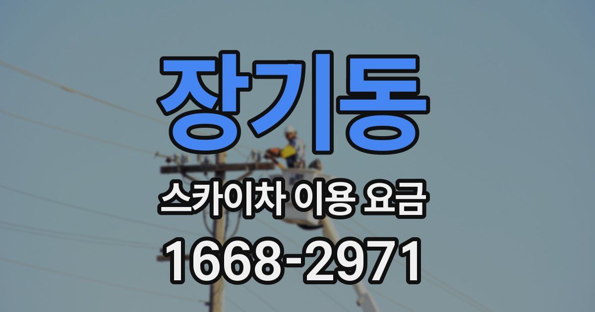 장기동 스카이차 이용 요금