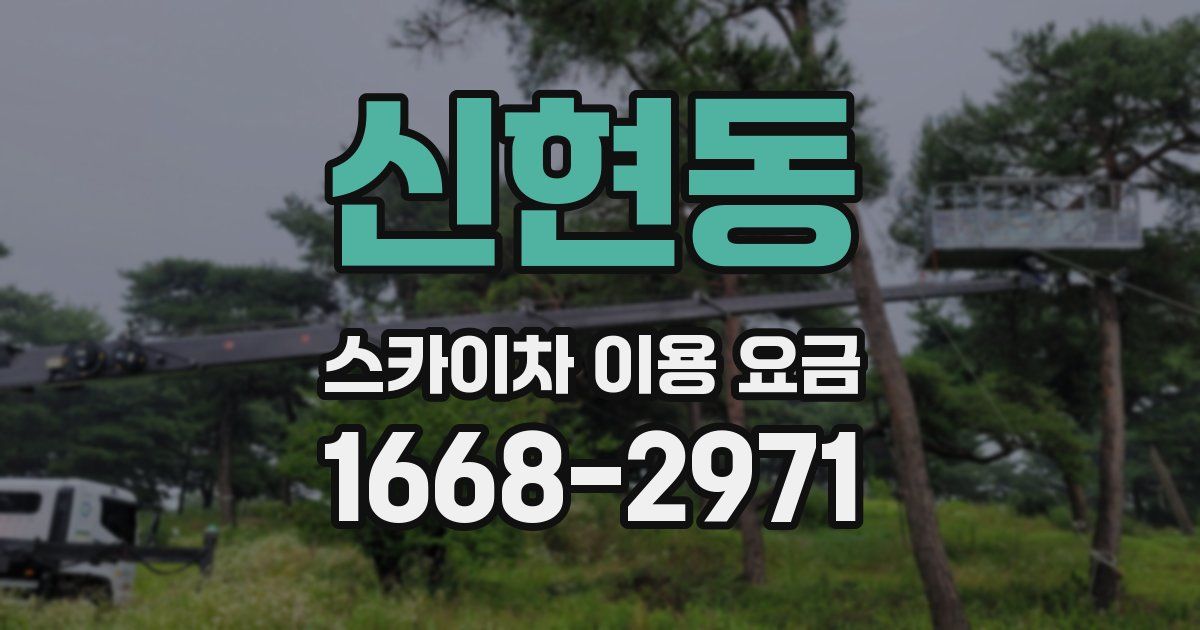 신현동 스카이차 이용 요금