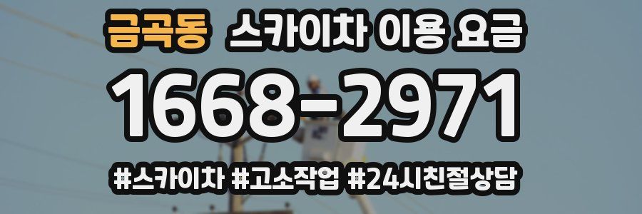 금곡동 스카이차 이용 요금