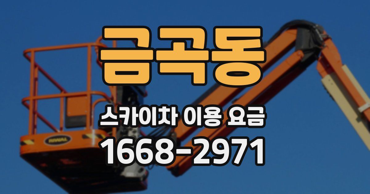 금곡동 스카이차 이용 요금