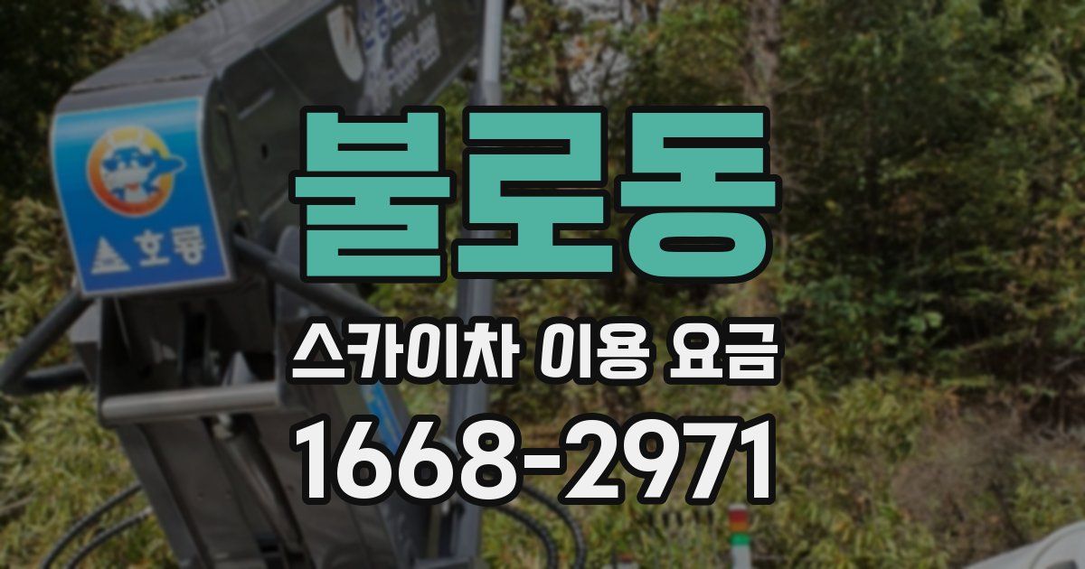 불로동 스카이차 이용 요금