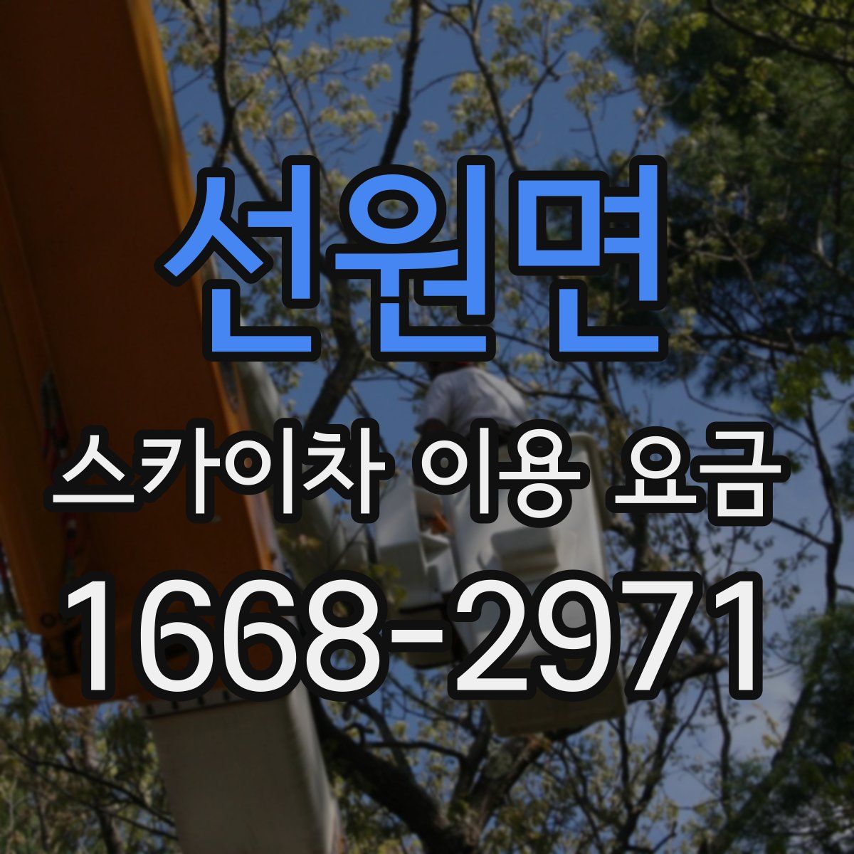 선원면 스카이차 이용 요금