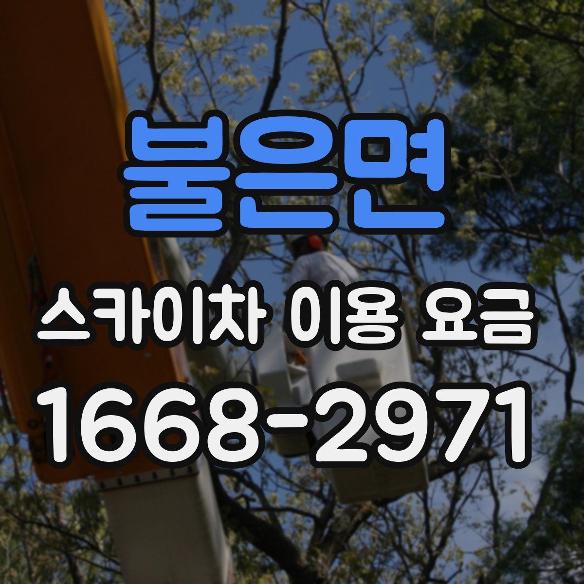 불은면 스카이차 이용 요금