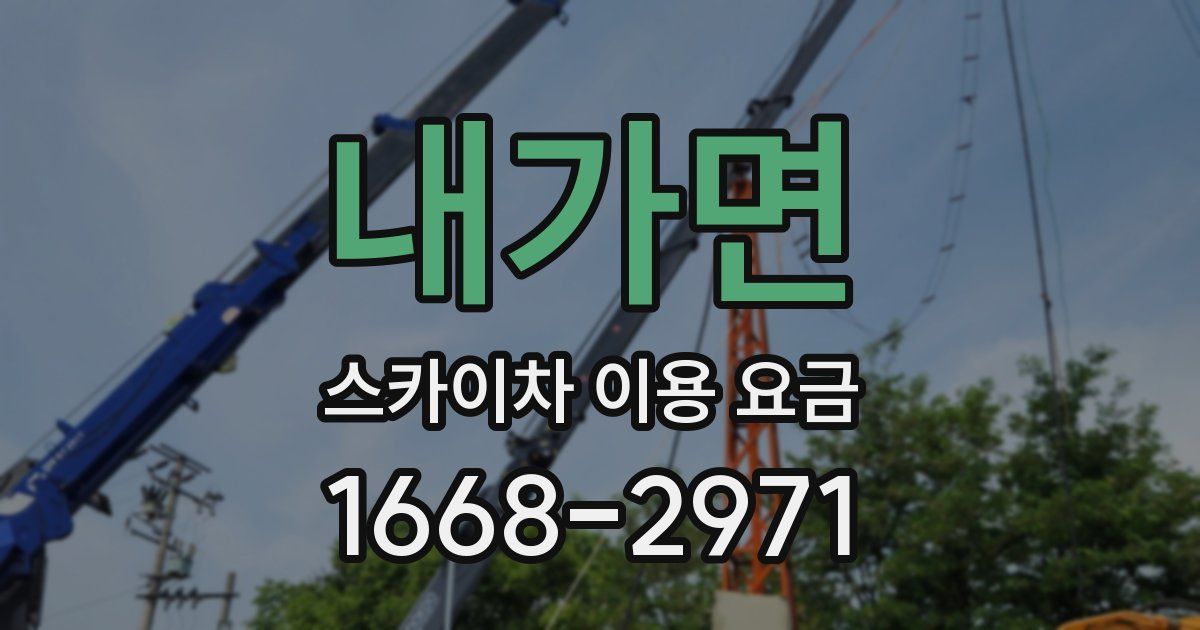 내가면 스카이차 이용 요금