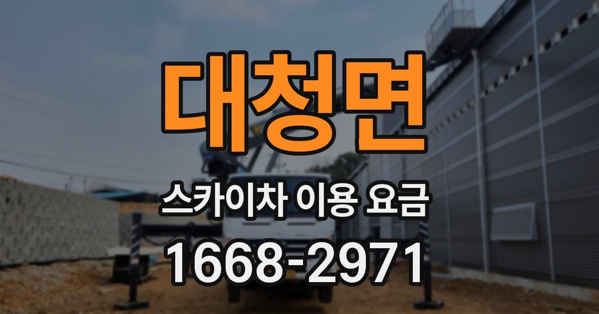 대청면 스카이차 이용 요금