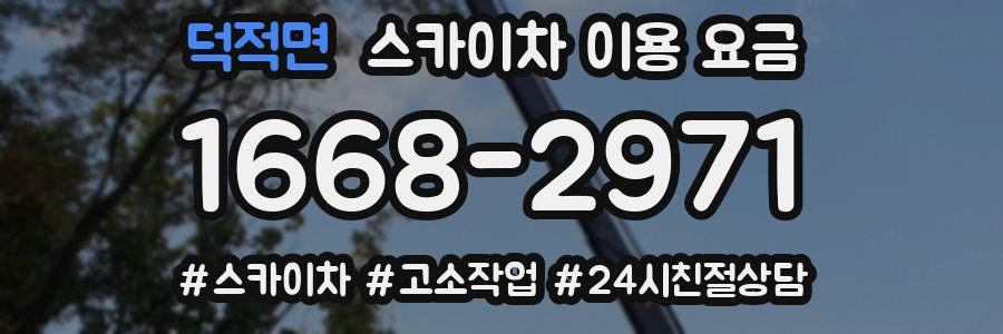 덕적면 스카이차 이용 요금