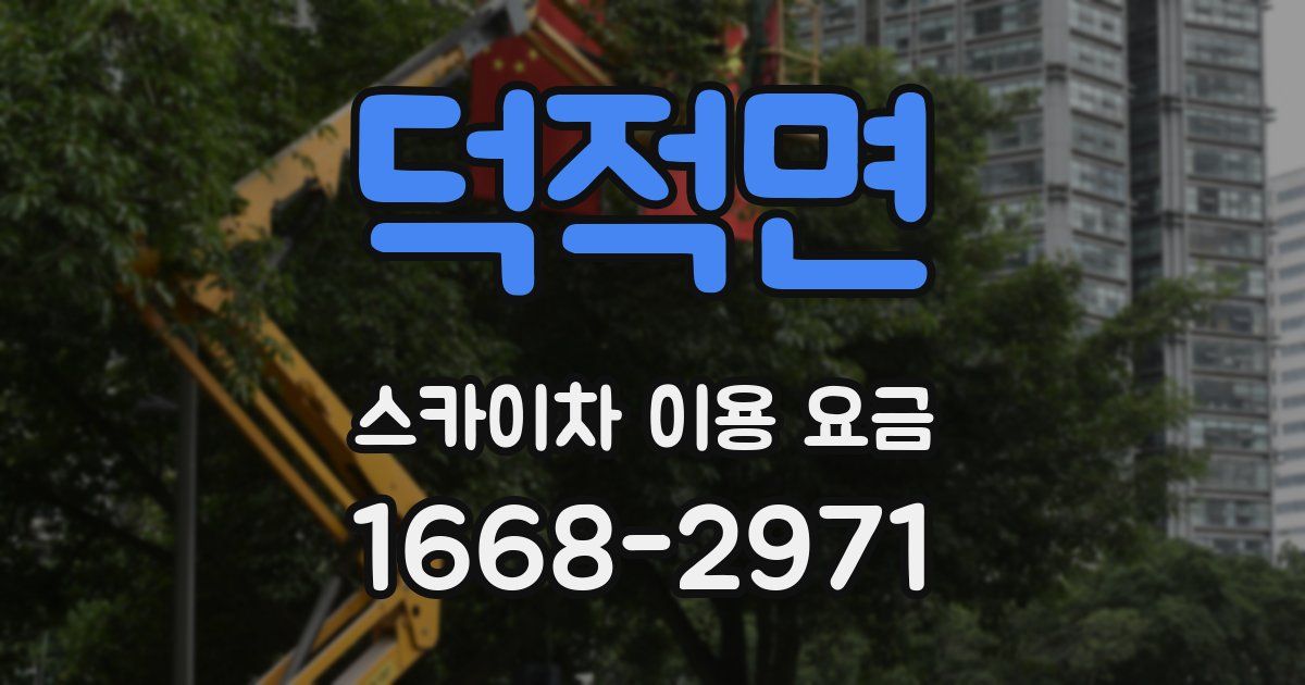 덕적면 스카이차 이용 요금