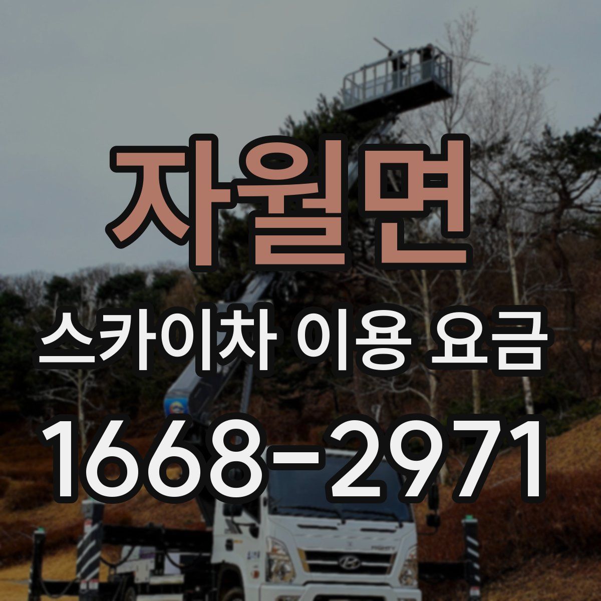 자월면 스카이차 이용 요금