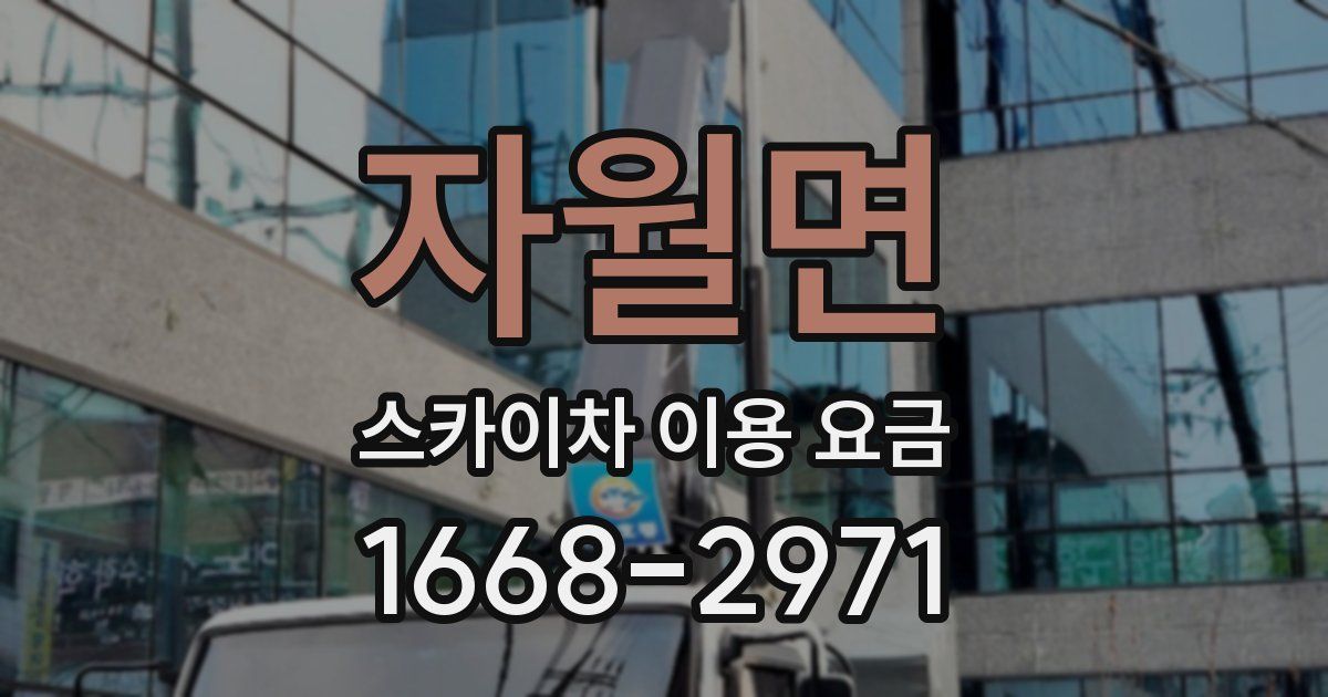 자월면 스카이차 이용 요금