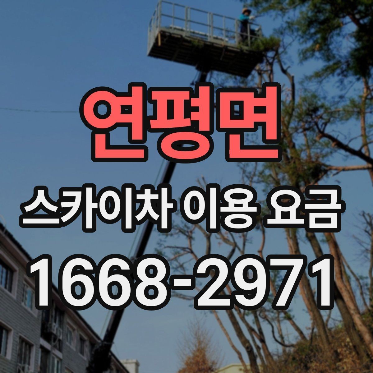연평면 스카이차 이용 요금 비교, 가격만 보면 안 되는 이유