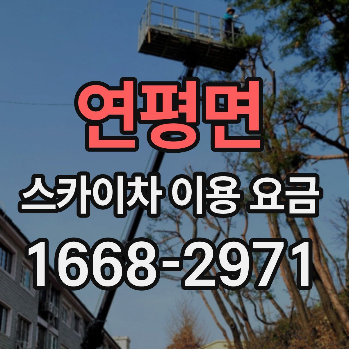 연평면 스카이차 이용 요금