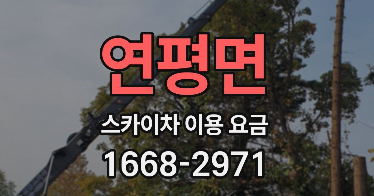 연평면 스카이차 이용 요금