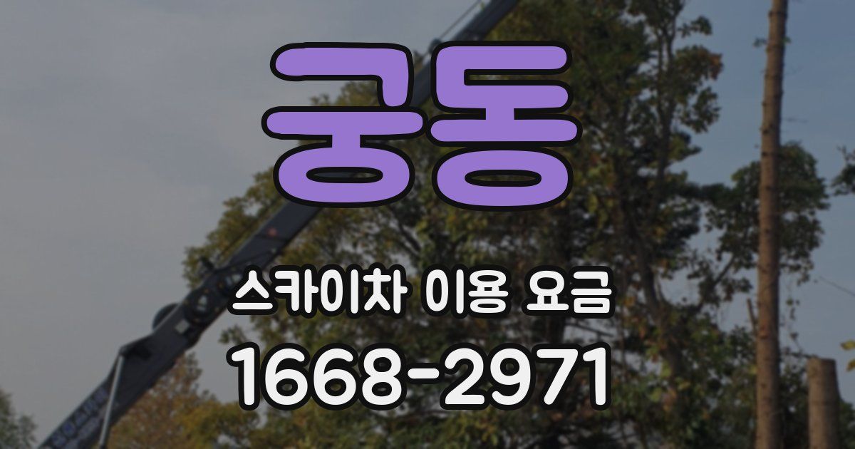 궁동 스카이차 이용 요금