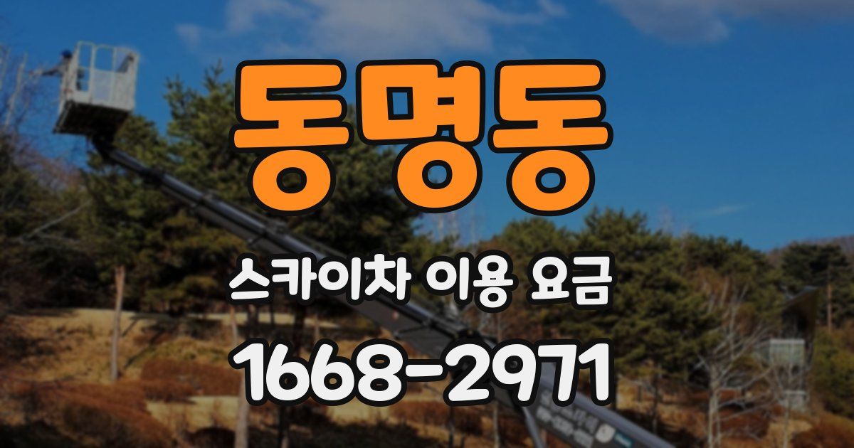 동명동 스카이차 이용 요금